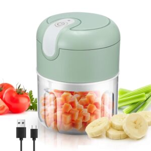 Battery Mini Chopper, 250 ml Mini Food Chopper Electric Garlic Chopper with USB Charge, Wireless Portable Food Processor for Fruit Pepper, Chilli, Vegetables, Onion
