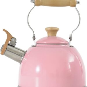 PLMNBQWE Light Wood Handle Kettle Stainless Steel Retro Kettle Gas Stove Teapot Stove Top Kitchen Utensils