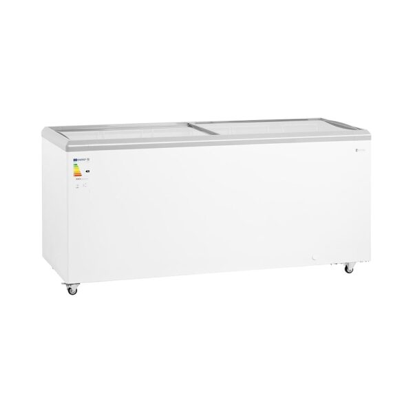 Royal Catering RCFGDF-550 Freezer 550 L Glass Doors Lockable Freezer Large