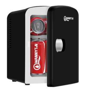 WANNYTON Mini Fridge 4L, Mini Cool Box with Cooling/Heat Function, Portable Cosmetic Fridges, Car Cool Box AC 220-240V DC 12V, for Car, Camping, Office, Bedroom (Black)